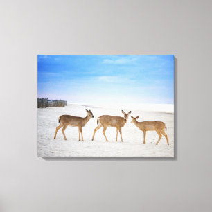 Cutest Baby Animals   Deer at the Beach Canvas Print