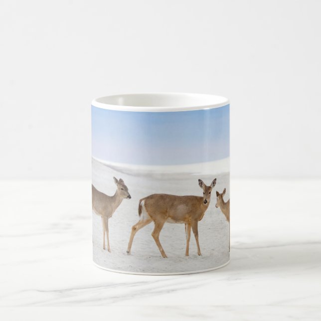 Cutest Baby Animals | Deer at the Beach Coffee Mug (Center)
