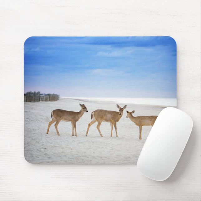 Cutest Baby Animals | Deer at the Beach Mouse Mat (With Mouse)