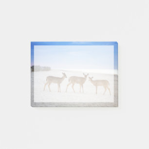 Cutest Baby Animals   Deer at the Beach Post-it Notes
