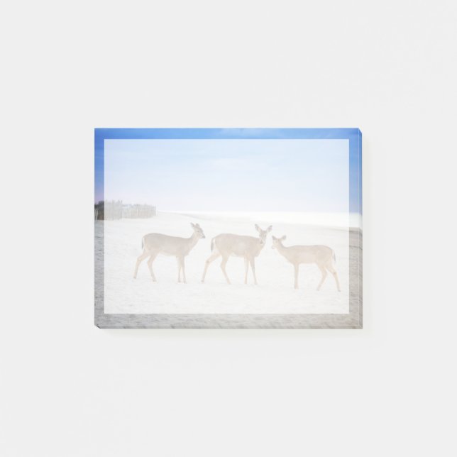 Cutest Baby Animals | Deer at the Beach Post-it Notes (Front)