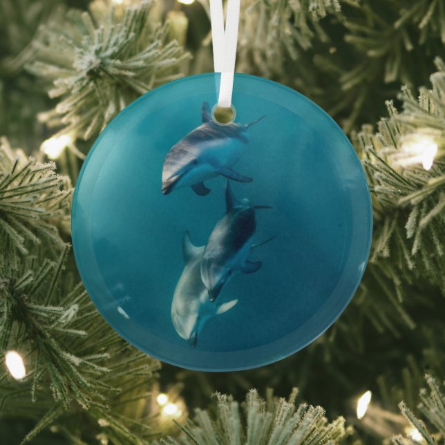 Cutest Baby Animals | Dolphin Family Glass Tree Decoration (Insitu)