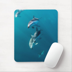 Cutest Baby Animals   Dolphin Family Mouse Mat
