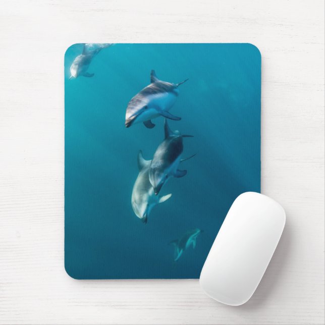 Cutest Baby Animals | Dolphin Family Mouse Mat (With Mouse)