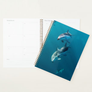 Cutest Baby Animals Dolphin Family Planner