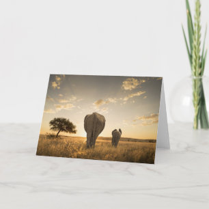 Cutest Baby Animals   Elephant Calf & Mother Card