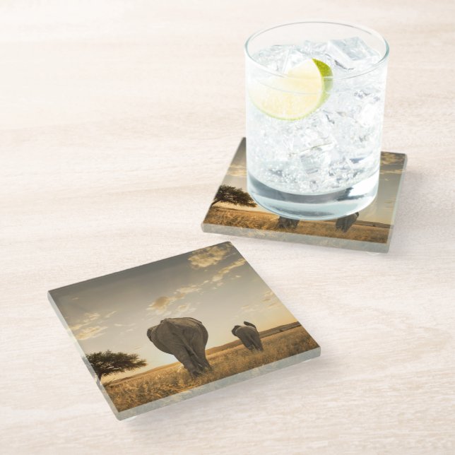 Cutest Baby Animals | Elephant Calf & Mother Glass Coaster (Angled)