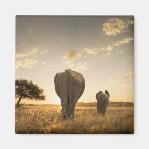 Cutest Baby Animals Elephant Calf & Mother Magnet