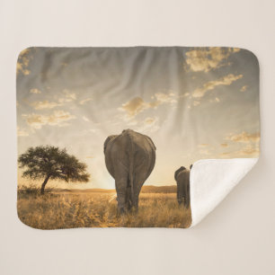 Cutest Baby Animals   Elephant Calf & Mother Sherpa Blanket