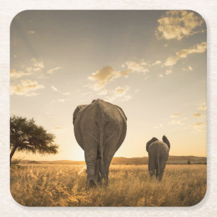 Cutest Baby Animals Elephant Calf & Mother Square Paper Coaster