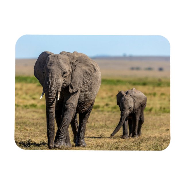 Cutest Baby Animals | Elephant Mother & Baby Magnet (Horizontal)
