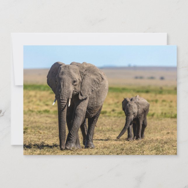 Cutest Baby Animals | Elephant Mother & Baby Thank You Card (Front)