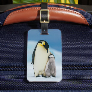 Cutest Baby Animals Emperor Penguin Chick Luggage Tag