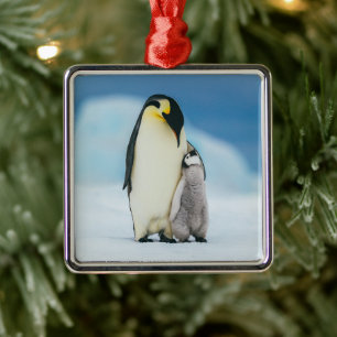 Cutest Baby Animals Emperor Penguin Chick Metal Tree Decoration