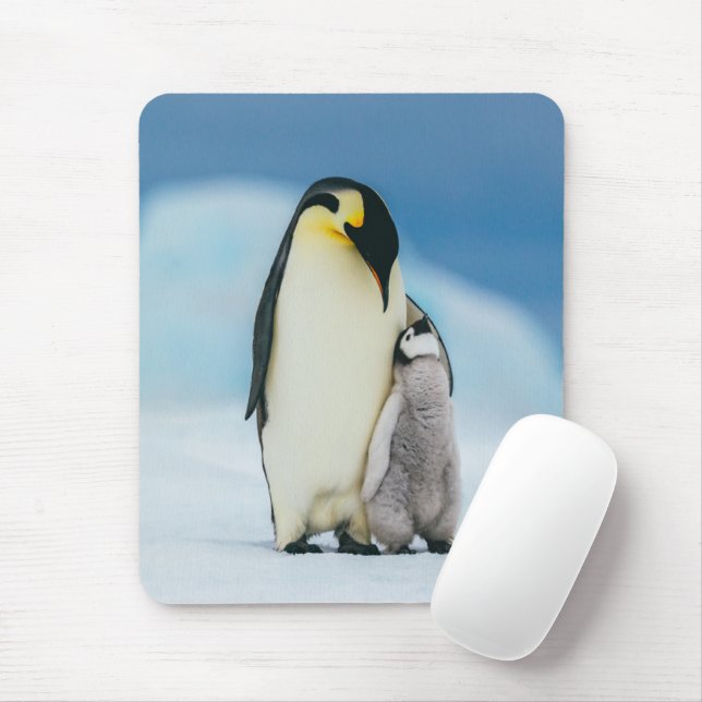 Cutest Baby Animals | Emperor Penguin Chick Mouse Mat (With Mouse)