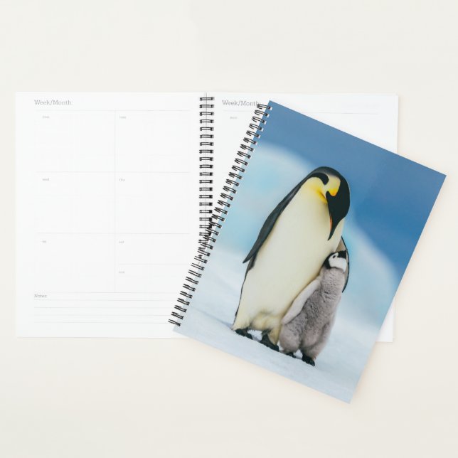 Cutest Baby Animals | Emperor Penguin Chick Planner (Display)
