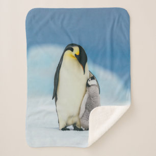 Cutest Baby Animals   Emperor Penguin Chick Sherpa Blanket