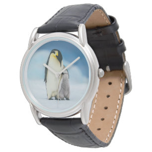Cutest Baby Animals Emperor Penguin Chick Watch