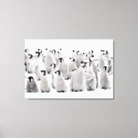 Cutest Baby Animals | Emperor Penguin Chicks