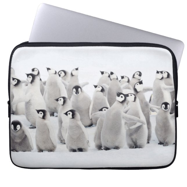 Cutest Baby Animals | Emperor Penguin Chicks Laptop Sleeve (Front)