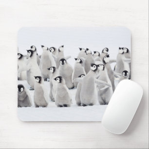 Cutest Baby Animals   Emperor Penguin Chicks Mouse Mat