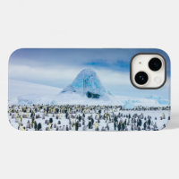 Cutest Baby Animals | Emperor Penguin Colony