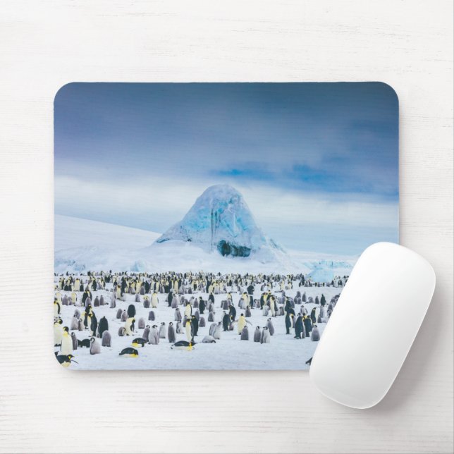Cutest Baby Animals | Emperor Penguin Colony Mouse Mat (With Mouse)