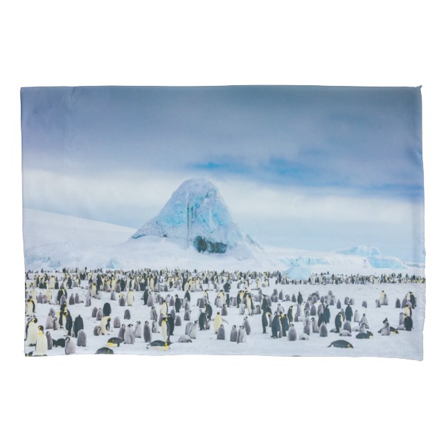 Cutest Baby Animals | Emperor Penguin Colony Pillowcase (Front)