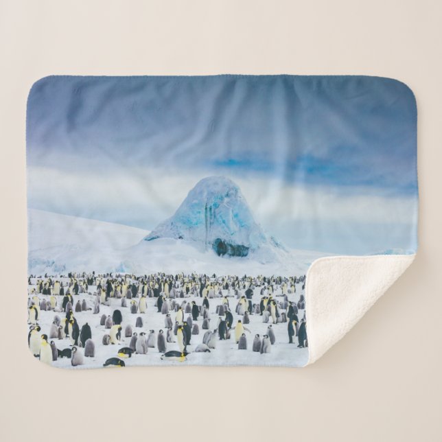 Cutest Baby Animals | Emperor Penguin Colony Sherpa Blanket (Front (Horizontal))