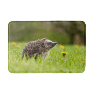 Cutest Baby Animals European Hedgehog Bath Mat