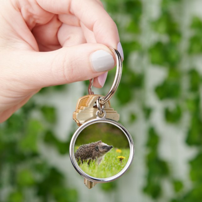 Cutest Baby Animals | European Hedgehog Key Ring (Hand)