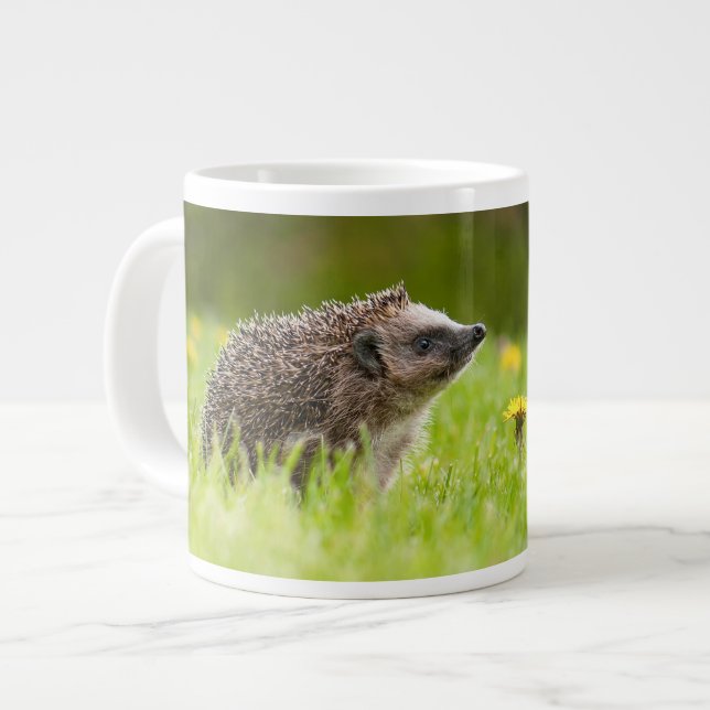 Cutest Baby Animals | European Hedgehog Large Coffee Mug (Front Left)