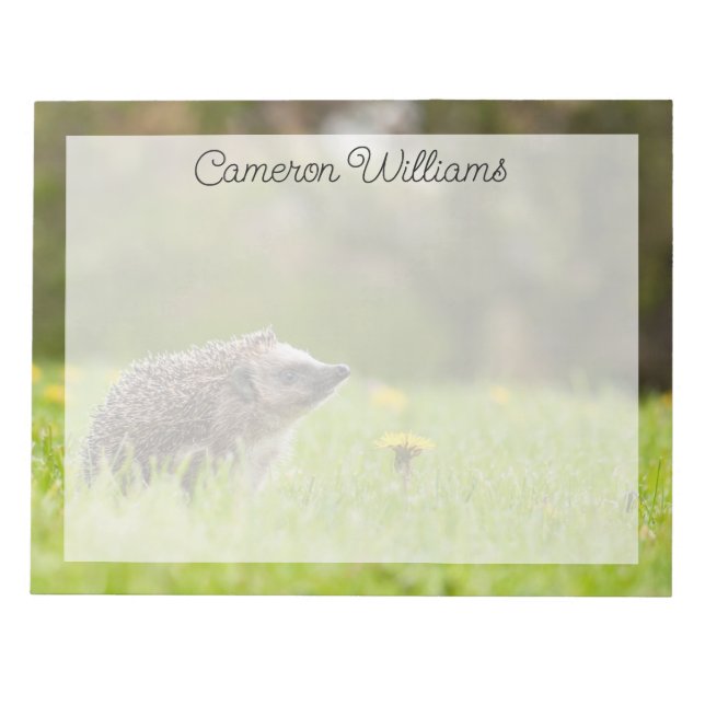 Cutest Baby Animals | European Hedgehog Notepad (Front)