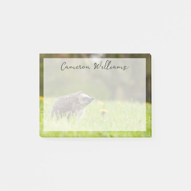 Cutest Baby Animals | European Hedgehog Post-it Notes (Front)