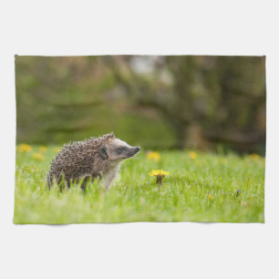 Cutest Baby Animals   European Hedgehog Tea Towel