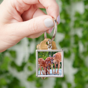 Cutest Baby Animals Fawn with Babies Key Ring