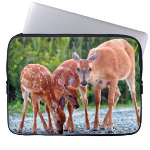 Cutest Baby Animals   Fawn with Babies Laptop Sleeve