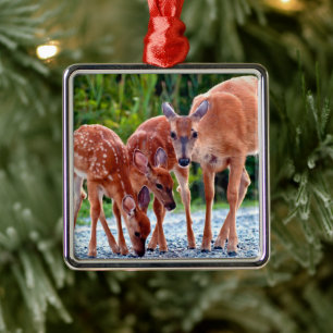 Cutest Baby Animals Fawn with Babies Metal Tree Decoration