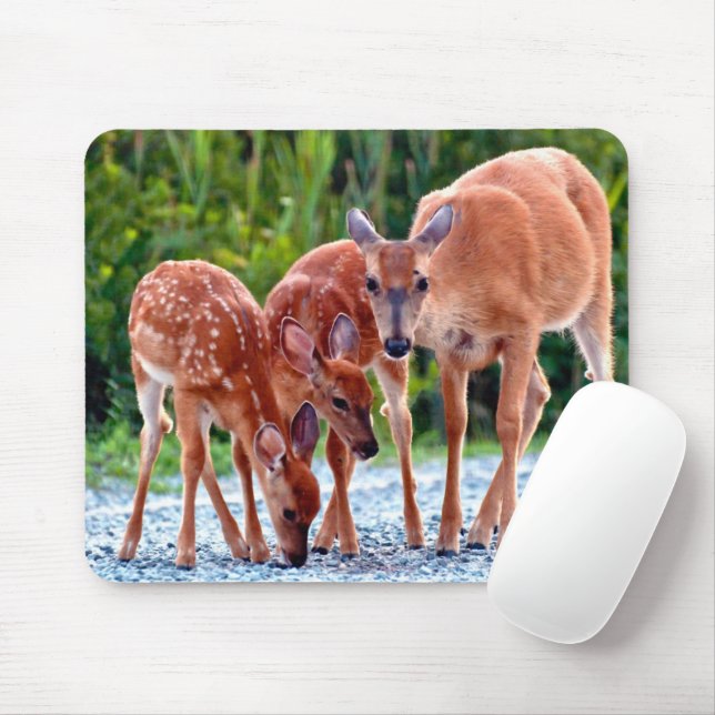 Cutest Baby Animals | Fawn with Babies Mouse Mat (With Mouse)