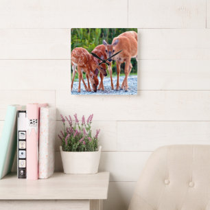 Cutest Baby Animals Fawn with Babies Square Wall Clock