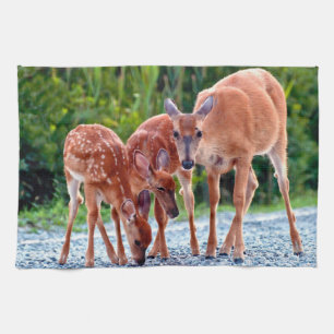 Cutest Baby Animals   Fawn with Babies Tea Towel