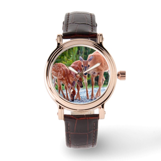 Cutest Baby Animals | Fawn with Babies Watch (Front)