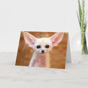 Cutest Baby Animals   Fennec Fox Card