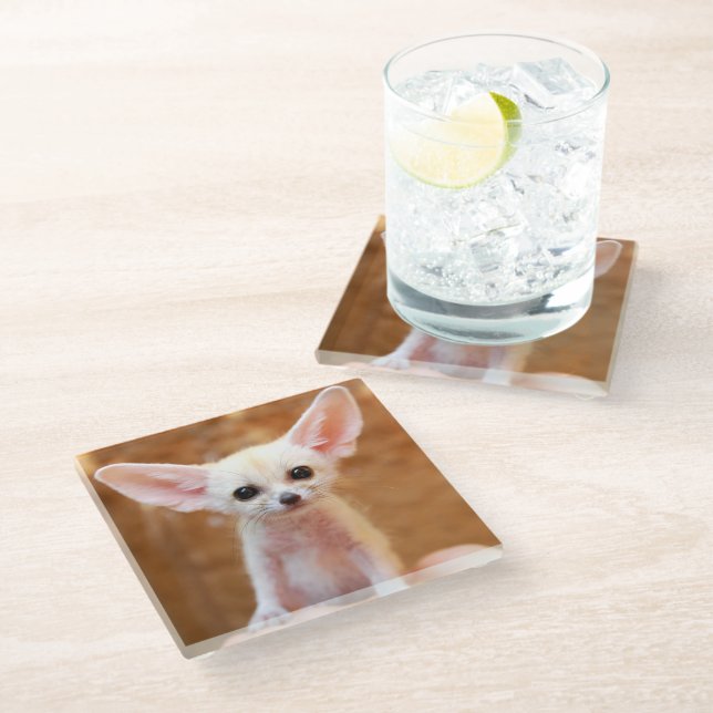 Cutest Baby Animals | Fennec Fox Glass Coaster (Angled)
