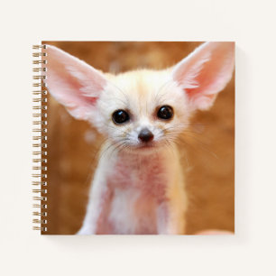 Cutest Baby Animals   Fennec Fox Notebook