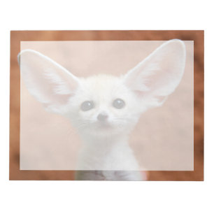 Cutest Baby Animals   Fennec Fox Pup Notepad