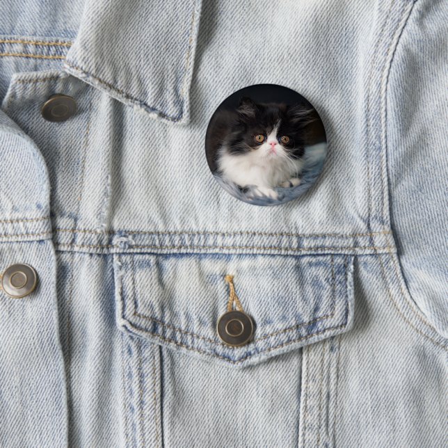 Cutest Baby Animals | Fluffy B&W Kitten 6 Cm Round Badge (In Situ)