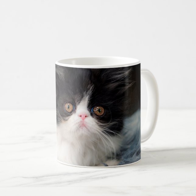 Cutest Baby Animals | Fluffy B&W Kitten Coffee Mug (Front Right)
