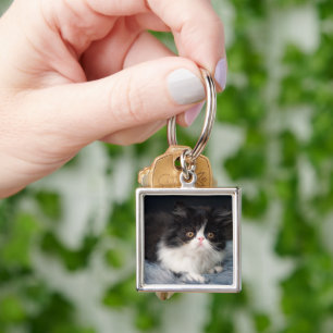 Cutest Baby Animals   Fluffy B&W Kitten Key Ring