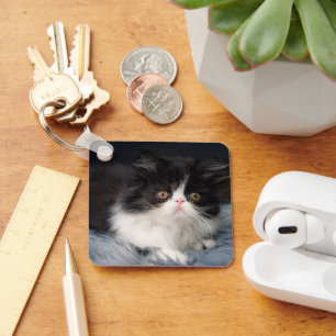 Cutest Baby Animals   Fluffy B&W Kitten Key Ring